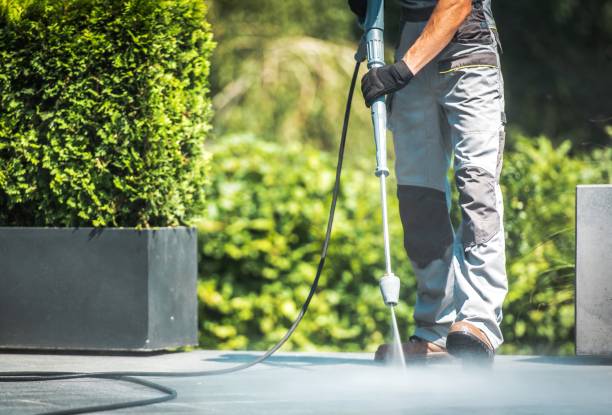 Best Gas Station Cleaning  in De Pue, IL