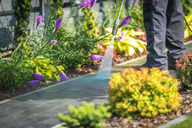 Best Winterizing Services  in De Pue, IL