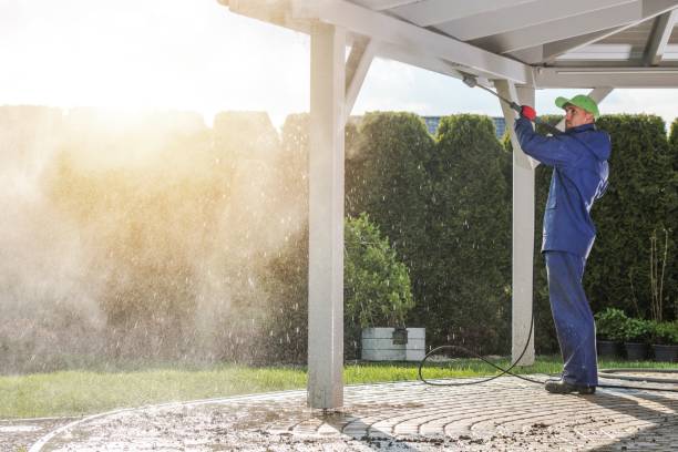 Best Sidewalk and Walkway Cleaning  in De Pue, IL