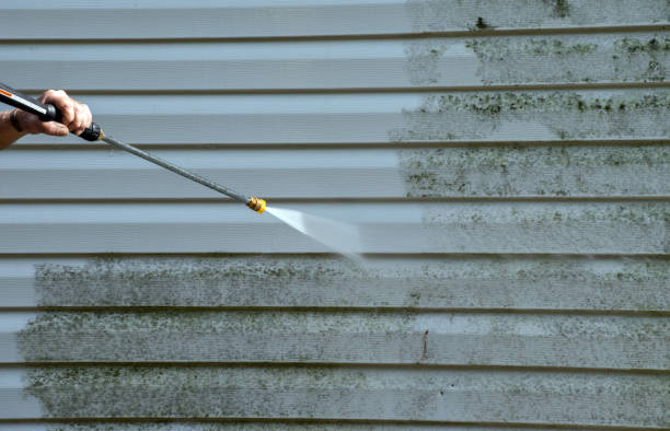 Best Solar Panel Cleaning  in De Pue, IL