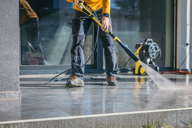 Best Gutter Cleaning  in De Pue, IL