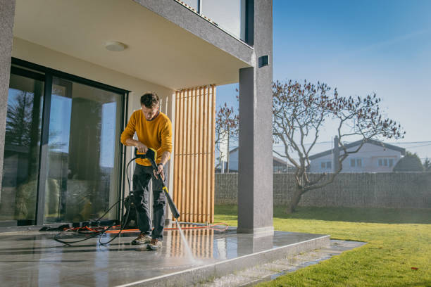 Best Roof Washing  in De Pue, IL